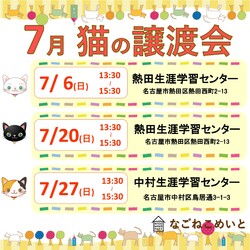 名古屋　保護猫譲渡会
