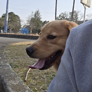 生後１年半の遊び盛りの女の子です。