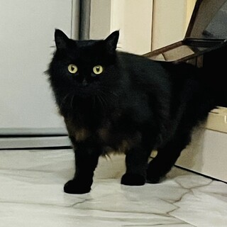 【7/13田町】添い寝してくれる♪ふわふわ甘えん坊