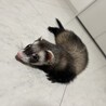 の写真