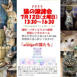 orangeの猫たちの譲渡会in大倉山