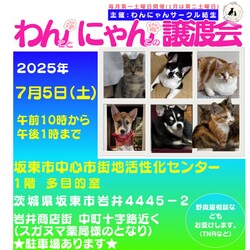 子猫ちゃん大勢参加、わんちゃんも☆