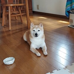 まだまだ試行錯誤o(｀^´*)