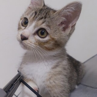 3月30日生まれの3姉妹です