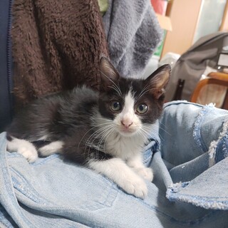 3月30日生まれの3姉妹です