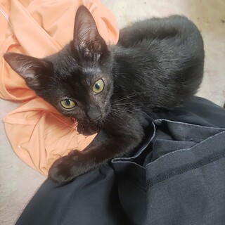 3月30日生まれの3姉妹です