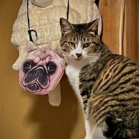 にこ