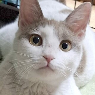 8/10尾久：かわいいパステル♡ゆいちゃん