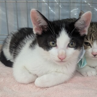 7/6尾久：明朗活発❤️せいやくん