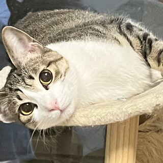 人馴れ練習中❤️なーな