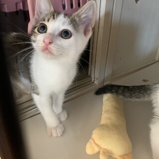 甘えん坊な女の子♡