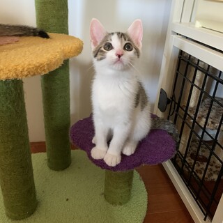 人見知りな女の子♡