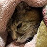 まりぃばぁば