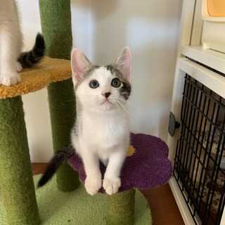 とっても甘えん坊な男の子♡