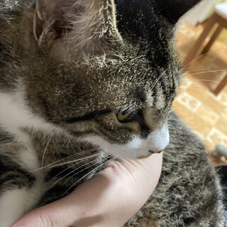 元気いっぱいな人懐っこい男の子