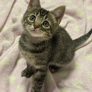 甘えっ子の佑希（うき）ちゃん