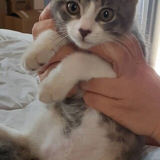 パーフェクトBOYの ルイ君‼ 初心者の方でも ❣