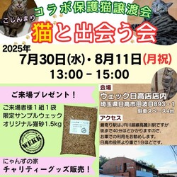 ウェック✕にゃんずの家　コラボ保護猫譲渡会 こぢんまり『猫と出会う会』