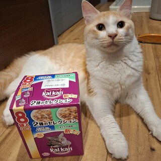 しっぽフサフサポテトくん