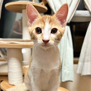 面談中『きいくん』