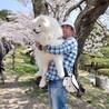 水野梅