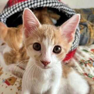 面談中『こうくん』