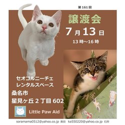 三重県桑名市7月13日(日)リトルパウエイド譲渡会