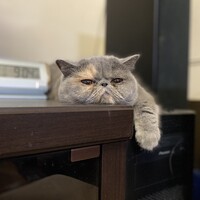 ベティちゃん