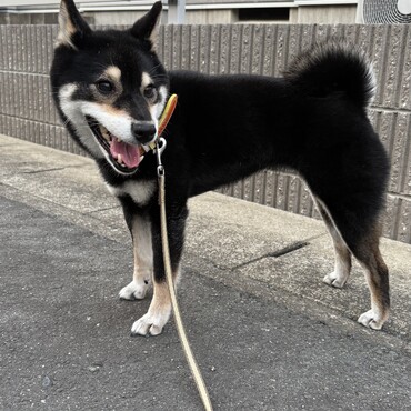 お散歩中のベストショット
