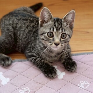 元気いっぱい人が大好きな⭐︎シドくん⭐︎