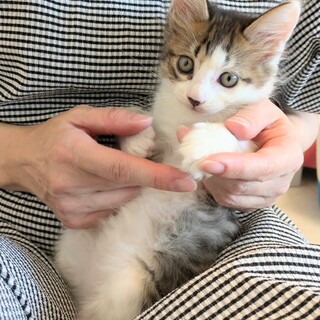 新たなご家族ができました＾＾