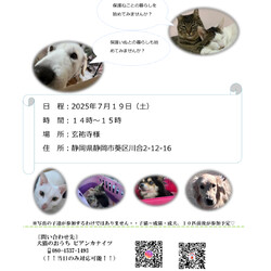保護いぬ&ねこの譲渡会