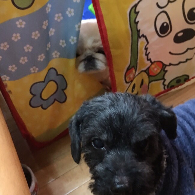 BOU3のカバー写真