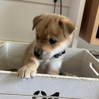 6月1日ごろに生まれた男の子