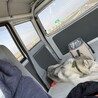 アレックスだけに用意した専用カー