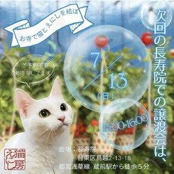 猫房えにしの保護猫譲渡会@長寿院