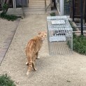 畑で増えてる仔たち、とっても大人しく仲良しです