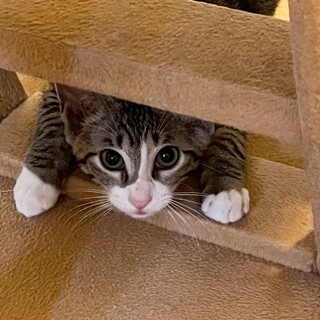 7/27西千葉ෆ⃛お尻トントン希望ෆ⃛ダヤンくん