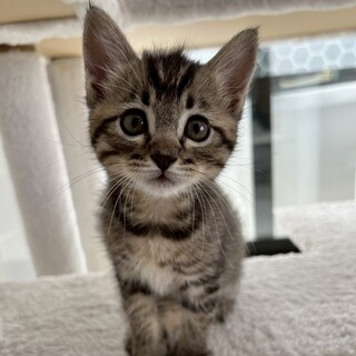 人が大好き！お転婆ガールの❤︎みずほちゃん