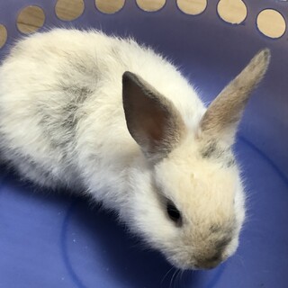 過酷な飼育状況から保護しました