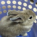 過酷な飼育状況から保護しました