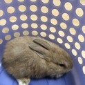 過酷な飼育状況から保護しました