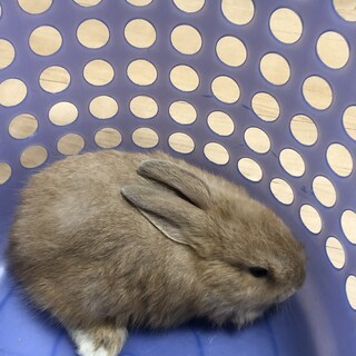 過酷な飼育状況から保護しました