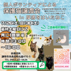 長崎の個人ボランティアによる保護猫譲渡会 7,8月
