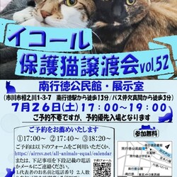 イコール保護猫譲渡会
