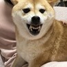 Aasukasugi