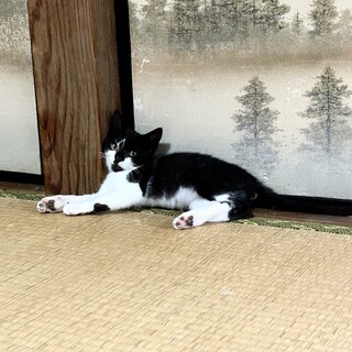 小柄なたけちゃん