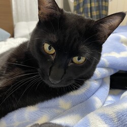 「てっちゃんと３兄弟の生まれ月」サムネイル2
