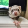みきりき