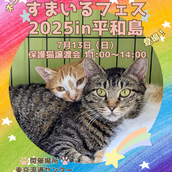 保護猫譲渡会@すまいるフェス2025in平和島